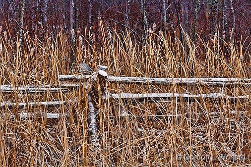 Snowy Rail Fence_19153.jpg - Photographed near Smiths Falls, Ontario, Canada.